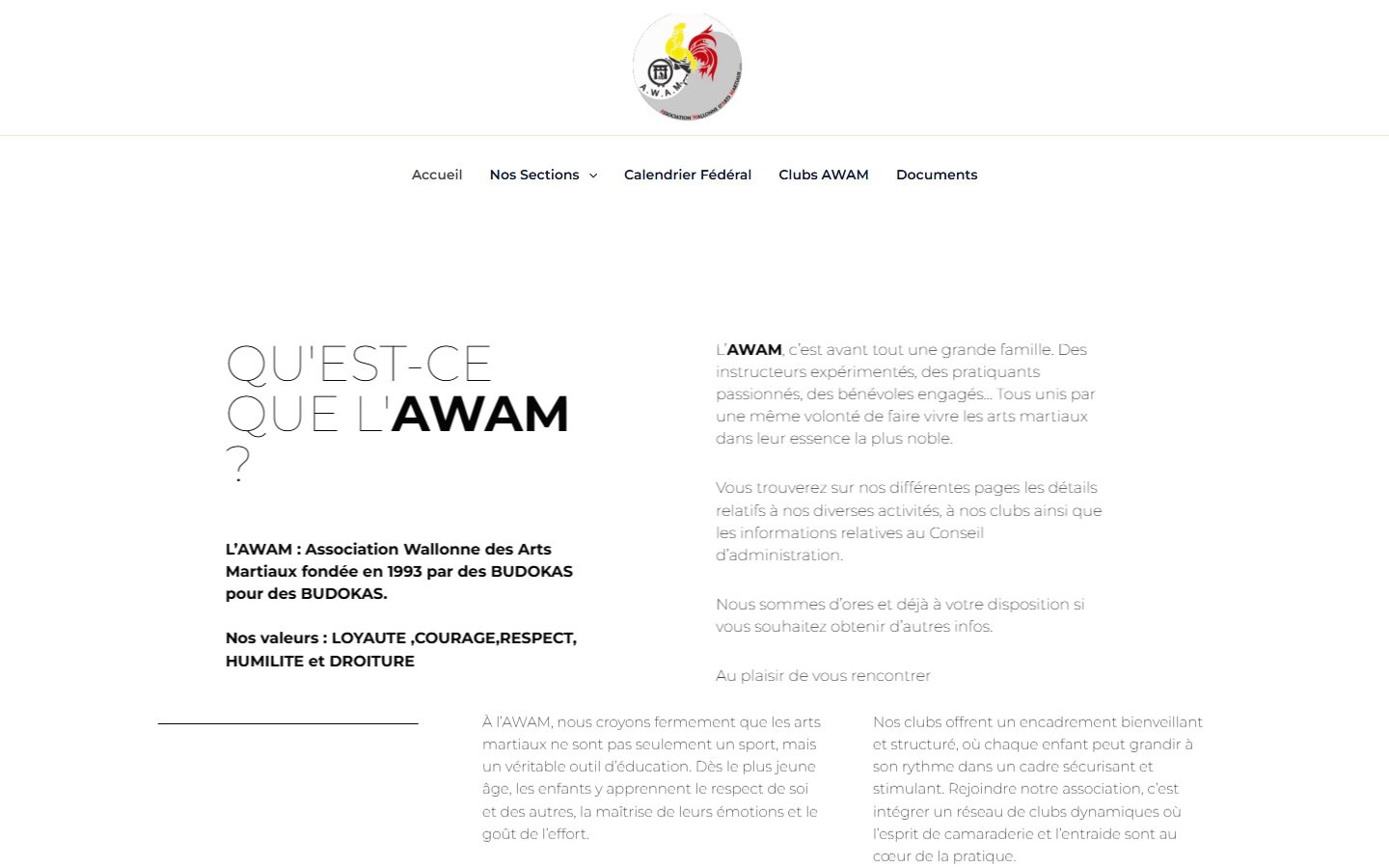 Aperçu du site AWAM